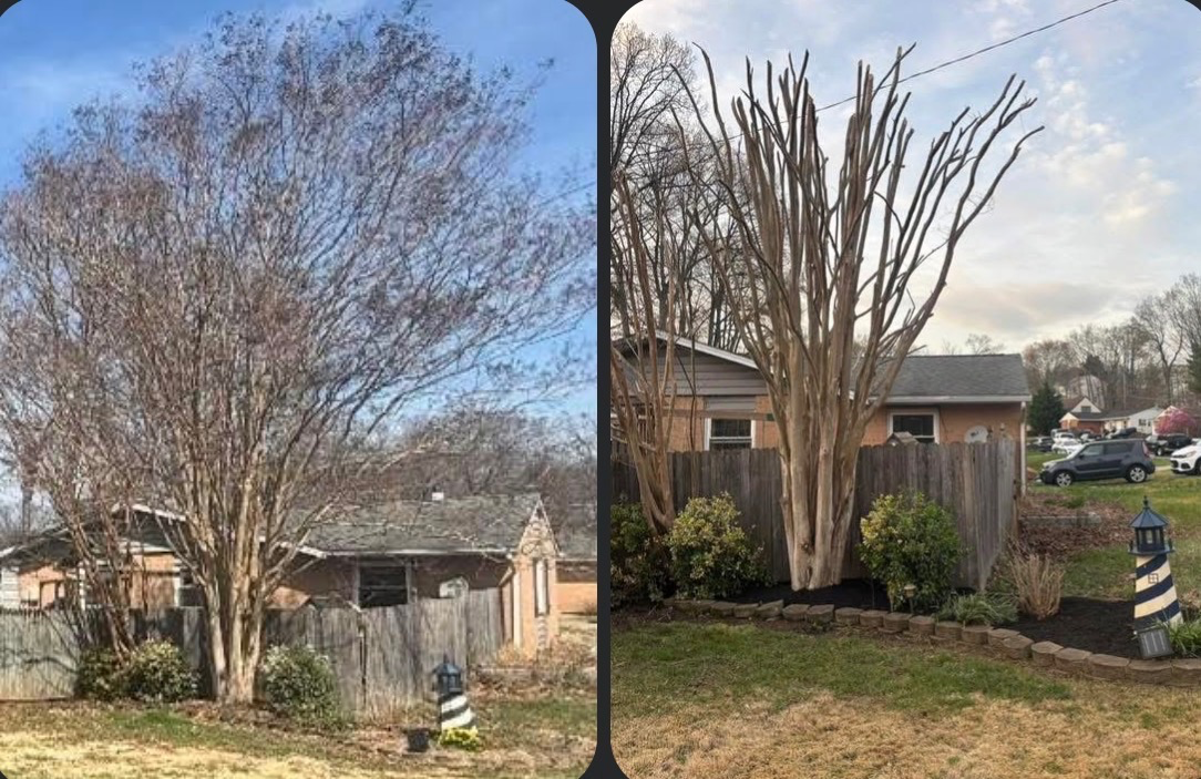 Tree Trimming & Pruning